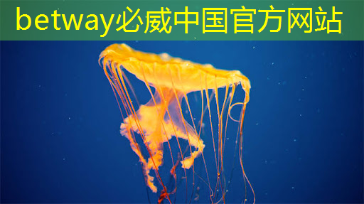 betway必威西漢姆聯官網：主控芯片中的電源管理技術，解析主控芯片中的電源管理策略！