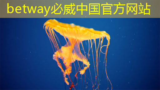 betway必威：家中私人影院打造利器：智慧樹和芝麻投影對比你能找到最好的選擇！