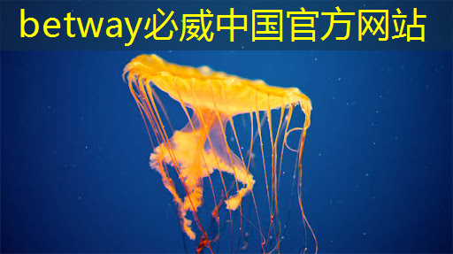 主控芯片中的存儲器技術(shù)與容量擴(kuò)展，了解主控芯片中的存儲器選型！