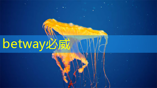 betway必威西漢姆聯官網：你知道投影儀 PCB 板的品牌有哪些嗎？