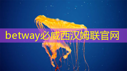 betway必威西漢姆聯官網：商業智能引領時尚潮流！創維智慧商顯引您購物新體驗！