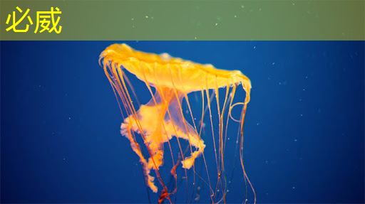 必威：隨時隨地，心動即現(xiàn)！無線手機同屏技術點燃移動時代