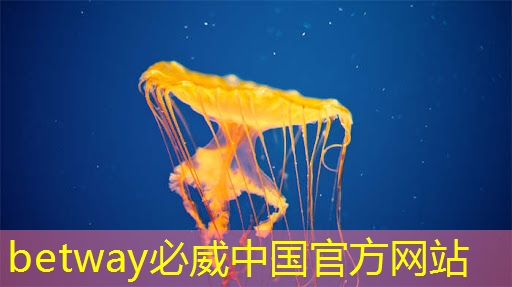 必威：為什么投屏與同屏模式成為當(dāng)下最受歡迎的家庭娛樂方式？