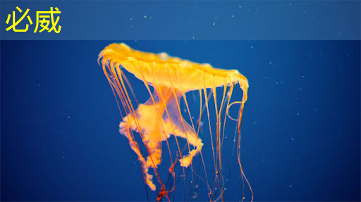 betway必威中國官方網站：如何了解掌上游戲機芯片的規格和技術參數？