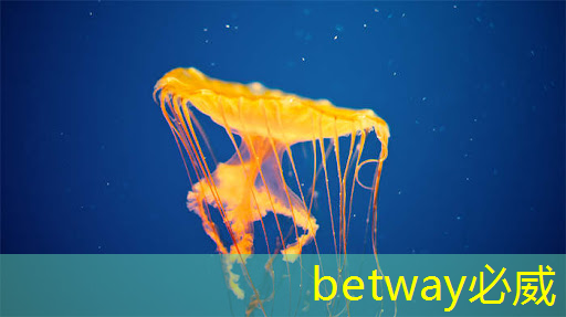 betway必威西漢姆聯官網：全球首款！這一芯片成功量產，安全監測迎來新紀元！