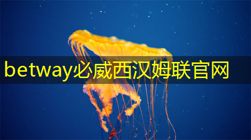 面對美國挑起的芯片之戰，我們擁有九大優勢，必將取得最終勝利！