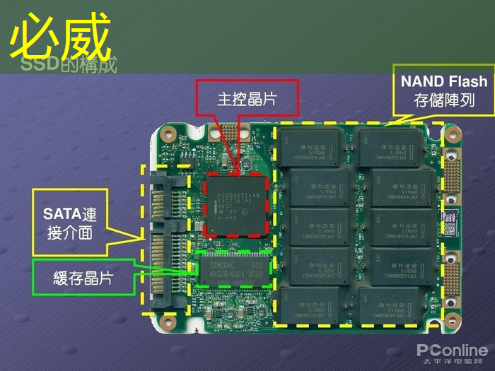 betway必威：3萬畝育種基地做強“農業芯片”，國內外科研團隊齊聚