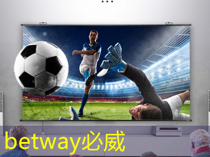 betway必威：漢振案例 ｜ 面結構光三維成像在手機及芯片精密測量中的應用