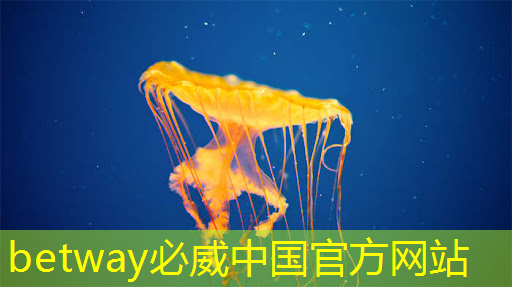 必威：蘋果手機(jī)芯片的歷史演進(jìn)