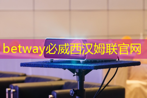 betway必威中國(guó)官方網(wǎng)站：?jiǎn)斡浾拢很囈?guī)級(jí)高性能芯片的創(chuàng)新，需要產(chǎn)業(yè)鏈各環(huán)節(jié)協(xié)同 ｜ 第六屆金輯獎(jiǎng) · 中國(guó)汽車產(chǎn)業(yè)影響力人物