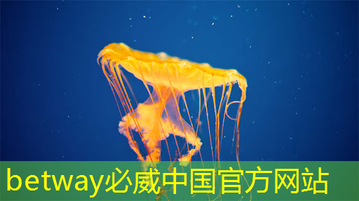 betway必威：RK3399芯片在消費產品中的應用及PCB設計關鍵注意事項