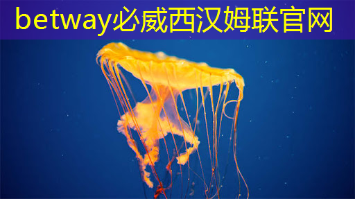 betway必威中國官方網站：湃方科技CEO武通達：高能效邊緣AI芯片在工業AIoT中的應用實踐｜公開課預告