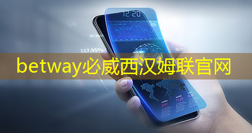 betway必威中國官方網站：上海市芯片制造與封裝電子電鍍專題研討會在上海大學順利召開！