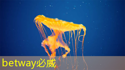 端到端AI加速只需單芯片？AMD二代Versal自適應SoC帶來邊緣新突破