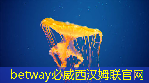 betway必威：拜登再宣布一筆半導體補貼：用數字孿生加速芯片設計和生產