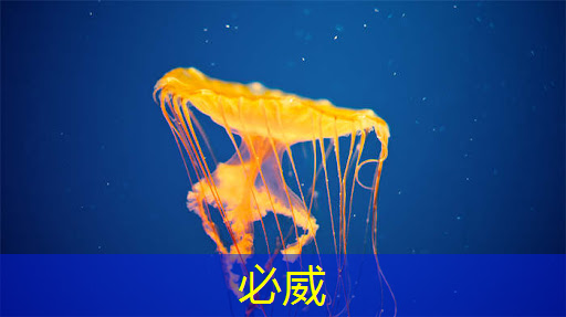 betway必威西漢姆聯官網：【毫米波傳感器】采用單芯片毫米波傳感器實現前沿的智能自主