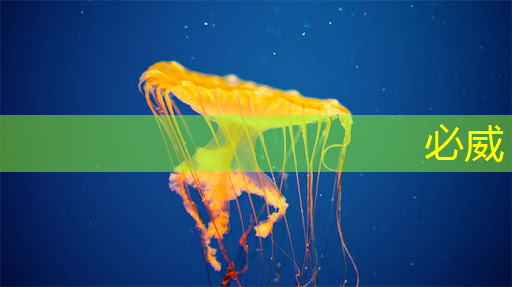 betway必威：RK3399芯片在消費產品中的應用及PCB設計關鍵注意事項