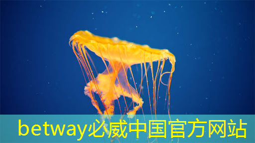 betway必威西漢姆聯(lián)官網(wǎng)：免費(fèi)升級芯片獲好評，但軟件要跟上，極氪群友這樣看