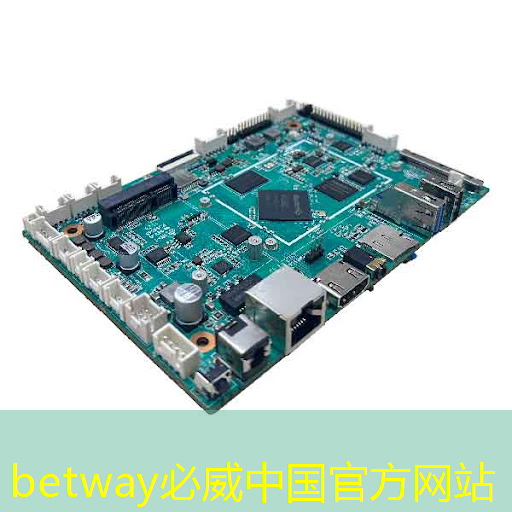 betway必威：美國以“國家安全”名義，審查中國使用RISC-V芯片技術(shù)的風(fēng)險(xiǎn)