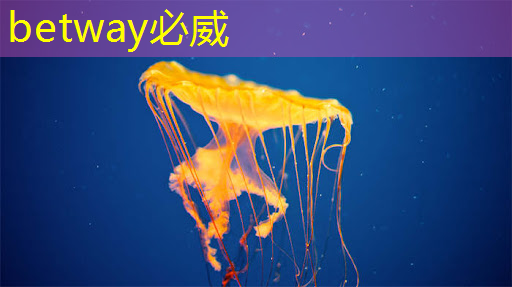 betway必威西漢姆聯(lián)官網(wǎng)：谷歌宣布量子芯片取得重大突破