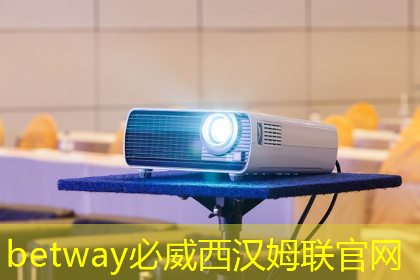 betway必威：自動駕駛的大腦——芯片簡介