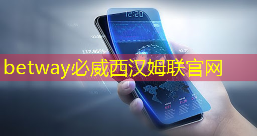 必威：虹軟科技陳鋒：視覺技術協同車載芯片賦能安全智能的駕乘體驗 ｜ 2021中國汽車半導體產業大會