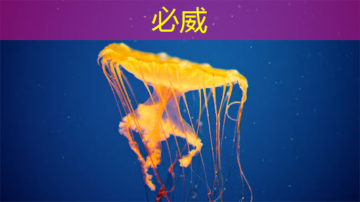 湖州智慧城市展廳運營情況 湖州智慧城市展廳運營情況