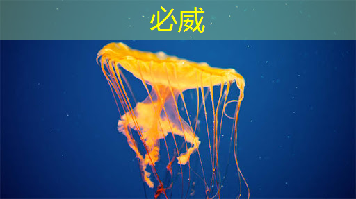 智慧城市電價怎么算的 智慧城市電價怎么算的