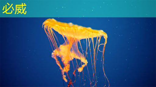 盒子投屏與投屏器同步合作，讓你的屏幕更出彩！