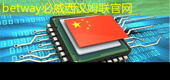 中國芯片標準發布，全球技術格局生變，美方緊張不已！