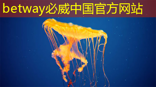 面對美國挑起的芯片之戰，我們擁有九大優勢，必將取得最終勝利！