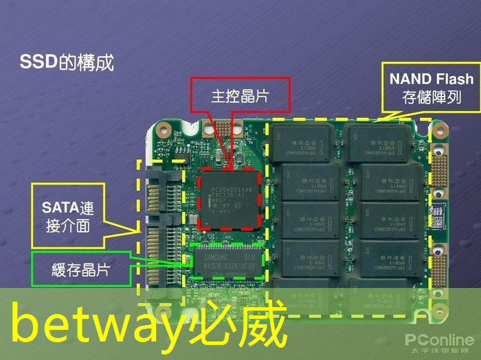 3萬畝育種基地做強“農業芯片”，國內外科研團隊齊聚