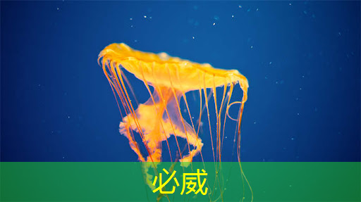 蘋果手機(jī)芯片的歷史演進(jìn)