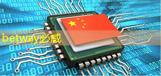 手機(jī)芯片里的NPU到底是什么？看完這篇終于懂了