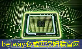 人民需要汽車芯片，五菱就造汽車芯片