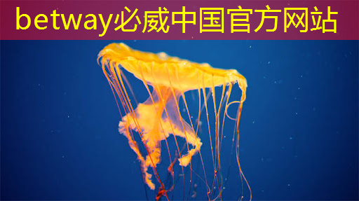 祥峰報告｜人工智能芯片發展前景研究（Part III）