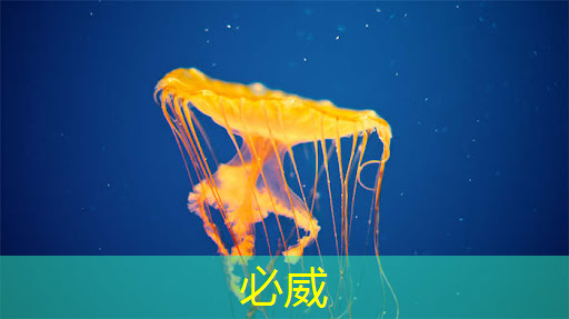 高性能、低成本、快速量產(chǎn)！國(guó)民科技開(kāi)源單芯片NB智能鎖方案